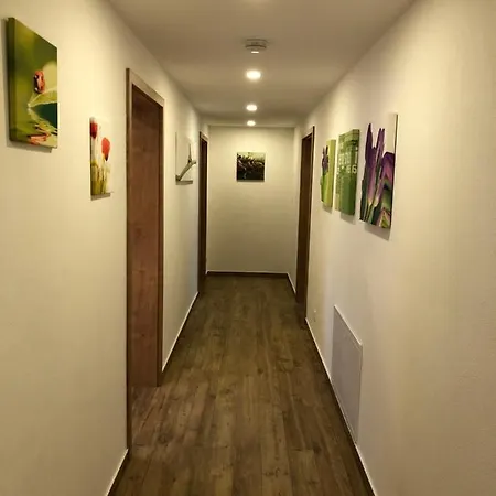 Grosszuege Ferienwohnung In Sparneck *